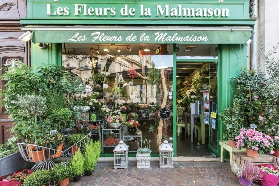 Les Fleurs de la Malmaison 2